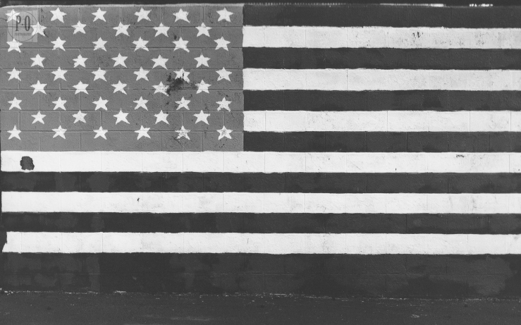 american flag black and white photo