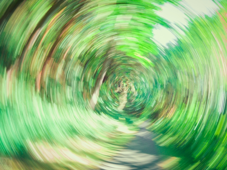 alternative landscape forest photographic image circular motion blur